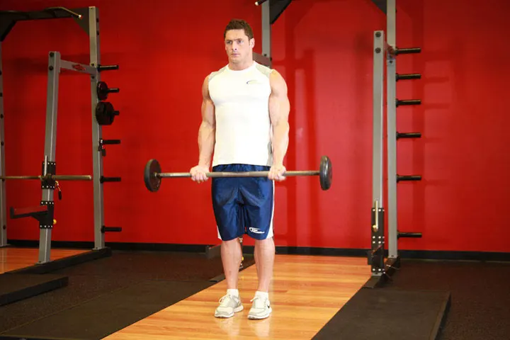 Barbell Curl — Start position