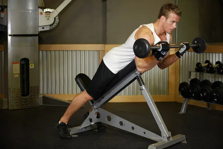 Barbell Curls Lying Against An Incline — End position