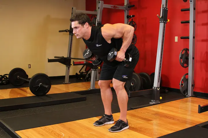 Bent Over Two-Dumbbell Row — End position