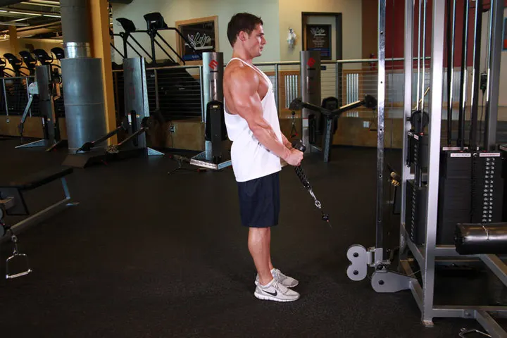 Cable Hammer Curls - Rope Attachment — Start position