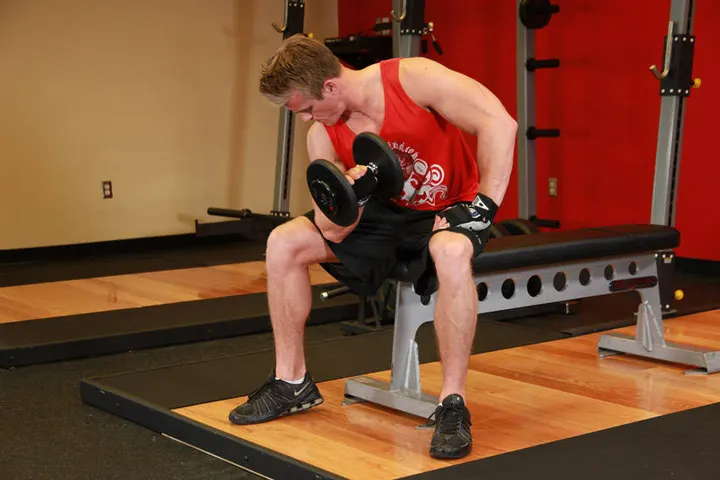 Concentration Curls — End position