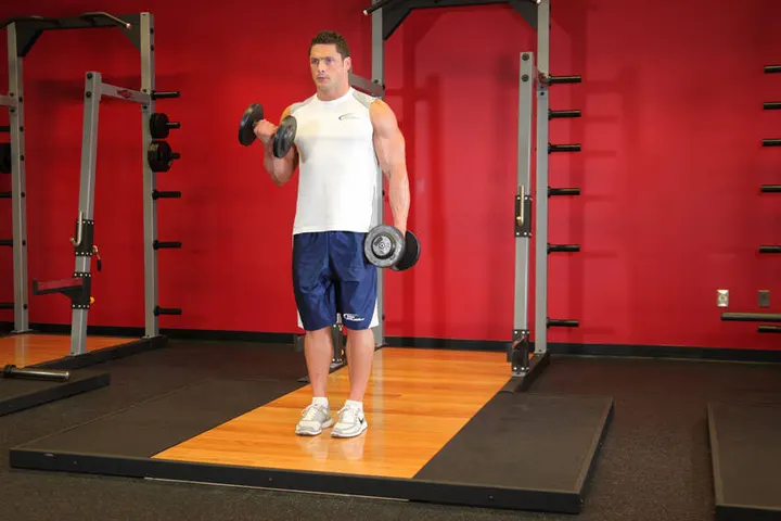 Dumbbell Alternate Bicep Curl — Start position