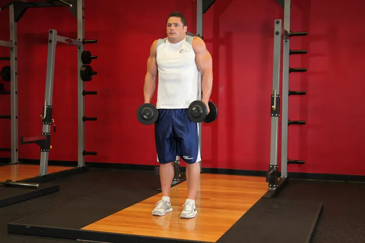 Dumbbell Shrug — End position