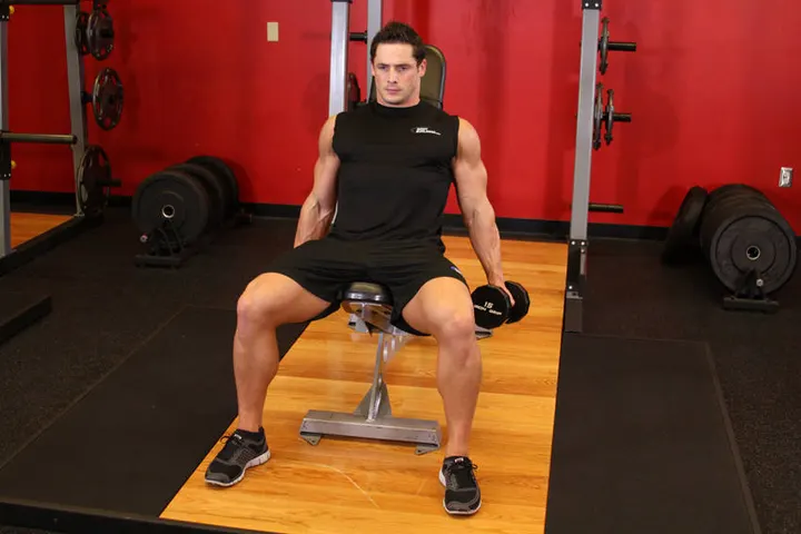 Flexor Incline Dumbbell Curls — Start position