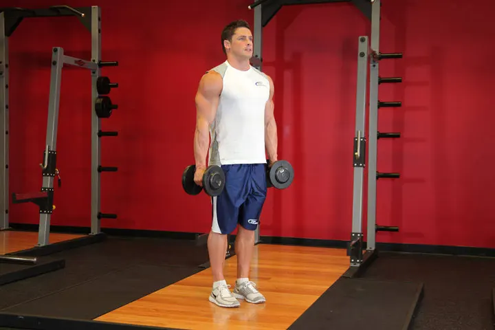 Hammer Curls — Start position