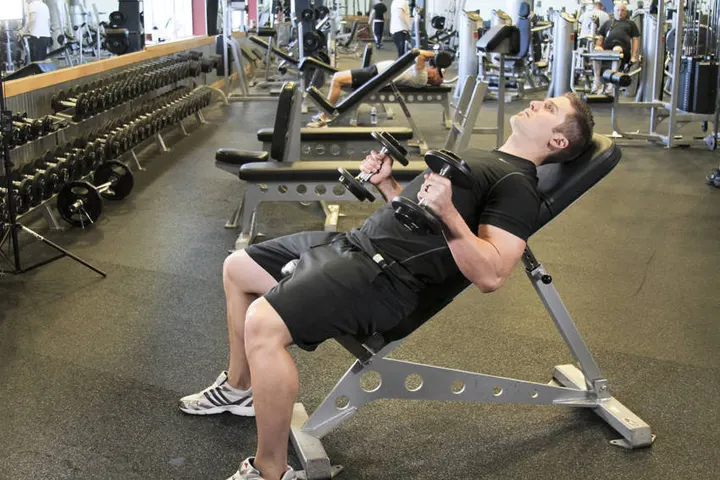 Incline Hammer Curls — End position