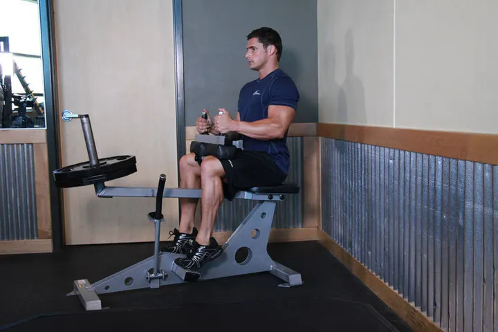 Seated Calf Raise — End position