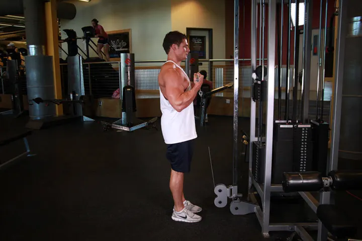 Standing Biceps Cable Curl — End position