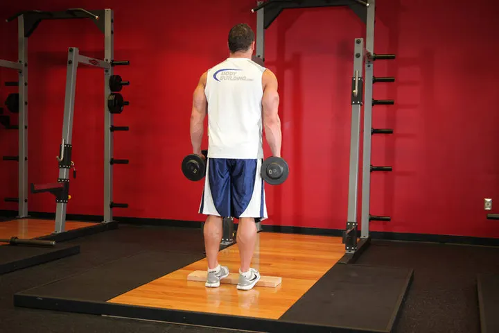 Standing Dumbbell Calf Raise — Start position