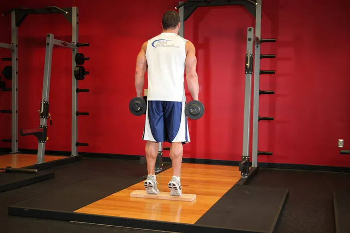 Standing Dumbbell Calf Raise — End position