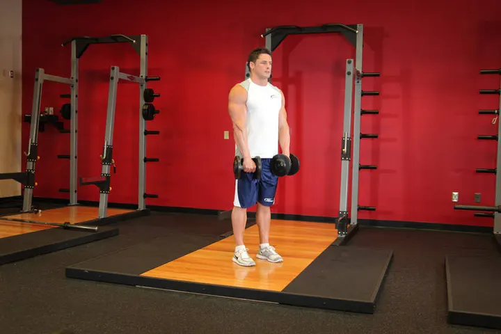 Standing Dumbbell Reverse Curl — Start position
