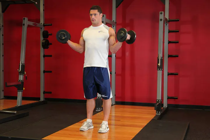 Standing Inner-Biceps Curl — End position