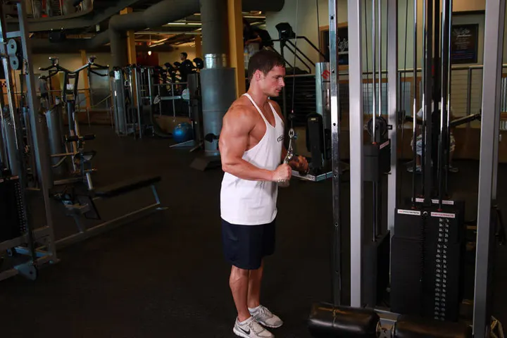 Triceps Pushdown - V-Bar Attachment — Start position