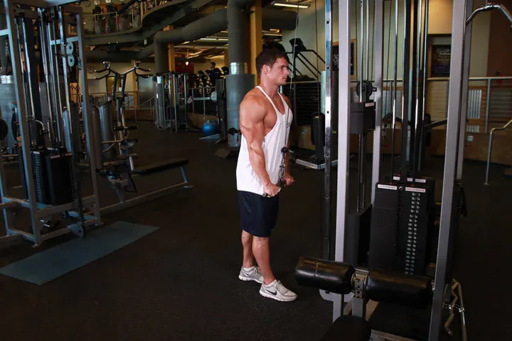 Triceps Pushdown — End position